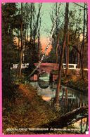 Gruss Aus Konigs Wusterhausen - Die Spukbrücke Tiergarten - RICHARD FRITSCHE - 1914 - Colorisée - Königs-Wusterhausen