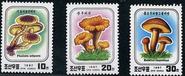 COREE Du NORD Champignons, Champignon, Mushrooms, Setas, Yvert 1857/59 ** MNH - Funghi