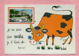 31 - HAUTE GARONNE - REVEL Prés TOULOUSE -  VACHE  ...  HUMOUR .... - Revel