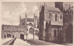 Postcard South Side Of Wells Cathedral My Ref  B11963 - Wells