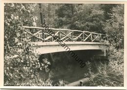 Berlin Zehlendorf - An Der Krummen Lanke - Foto-AK Grossformat - Verlag Bruno Schroeter Berlin - Zehlendorf