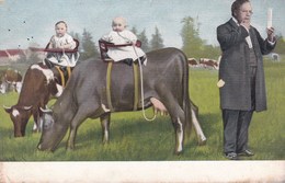 Baby's Bébés, Humour, Baby's Doing Quality Check Of Milk On Back Of Cow (pk43846) - Tarjetas Humorísticas