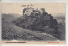 LENZBURG - SCHLOSS - 8.06.07 - Lenzburg