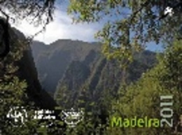 Portugal ** & Annual Stamps Of Madeira 2011 (6872) - Cuadernillos