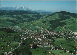 Flugaufnahme Klimakurort Heiden Mit Altmann Und Säntis - Photo: Gross - Heiden