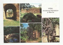 Cp, GUYANE FRANCAISE / REMIRE , Ancienne Plantation VIDAL , Vierge , Ed. Delabergerie, N° 645 - Autres & Non Classés