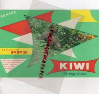 BUVARD KIWI- CIRAGE EXCLUSIVITE PPZ- ORIGINAIRE DE NOUVELLE ZELANDE - Scarpe