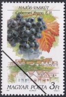 Specimen, Hungary Sc3255 Grapes, Wine Producing Area, Cabernet Franc, Raisins - Wein & Alkohol
