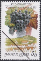 Specimen, Hungary Sc3256 Grapes, Wine Producing Area, Cabernet Sauvignon, Raisins - Wein & Alkohol