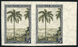 261 ARGENTINA: GJ.793P, 5P. Iguazú Falls, Straight Rays Wmk, Rare IMPERFORATE PAIR, MNH, - Other & Unclassified