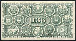429 ARGENTINA: "PROOF Of The Back Side Of A "banknote" Of 36c. Printed By Guillermo Kr - Autres & Non Classés