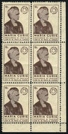 432 ARGENTINA: MARIE CURIE, Discoverer Of Radium, Used In Cancer Treatment, MNH Block Of - Erinnophilie
