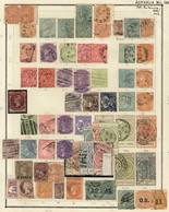 446 AUSTRALIA: AUSTRALIAN STATES: Beautiful Collection On Album Pages, With Used Or Mint - Autres & Non Classés