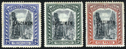 467 BAHAMAS: Sc.33/36, 1901 Cmpl. Set Of 3 Values With SPECIMEN Ovpt., Mint No Gum, VF Q - Bahamas (1973-...)