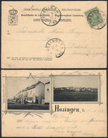 928 LUXEMBOURG: Postcard (view Of Hosingen) Franked With 5c. And Sent From HOSINGEN To D - Sonstige & Ohne Zuordnung