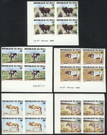 1002 MALI: Yv.417/421, 1981 Fauna (bovine), Complete Set Of 5 Values, IMPERFORATE BLOCKS - Mali (1959-...)
