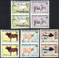 1007 MALI: Yv.459/463, 1981 Fauna (zebu Cattle), Complete Set Of 5 Values, IMPERFORATE PA - Mali (1959-...)
