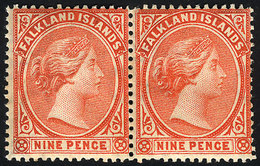 1027 FALKLAND ISLANDS/MALVINAS: Sc.17, Pair Mint Original Gum, The Right Stamp Is MNH, VF - Falkland