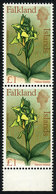 1041 FALKLAND ISLANDS/MALVINAS: Sc.179, 1968 Flowers 1£, High Value Of The Set, MNH Pair - Falkland