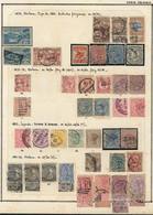 1101 NEW ZEALAND: Collection On Pages (circa 1873 To 1970), Used Or Mint Stamps, Most Of - Autres & Non Classés