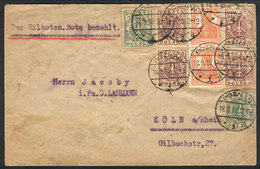 1144 POLAND: Cover Sent From POSEN To Köln (Germany) On 18/SE/1919 With Mixed Postage Of - Autres & Non Classés