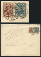 1146 POLAND: Cover Used In POSEN On 5/NO/1919 With Mixed Postage Of German And Polish Sta - Sonstige & Ohne Zuordnung