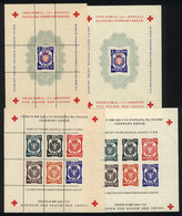 1149 POLAND - DACHAU: Red Cross: Local Issue Of 4 Perforated And Imperforate Souvenir She - Autres & Non Classés