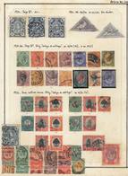 1181 SOUTH AFRICA: Collection On Pages (circa 1910 To 1980), With Mint (without Gum Or Li - Sonstige & Ohne Zuordnung