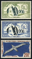 1207 TAAF: Sc.C1/C3, 1956 Penguins And 1959 Albatross, 3 Values MNH, Excellent Quality, C - Autres & Non Classés