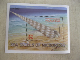 Micronesia  2001 Shell I201802 - Micronesia