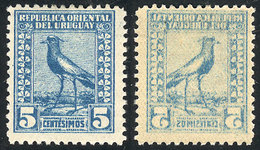 1247 URUGUAY: Sc.271, 1923 Tero 5c. Azul, Con VARIEDAD: Retintado Al Dorso, MB Calidad!: - Uruguay