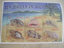 Micronesia  2001 Shell I201802 - Micronesia