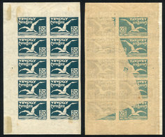 1258 URUGUAY: Yvert 12, 1926 Albatros 20c. Verde, Bloque De 10, 7 Son RETINTADOS Al Dorso - Uruguay