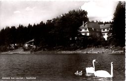 Abtsee Bei Laufen - Seehotel - Lauf