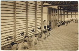 Préventorium De La Hulpe. Solarium. Leçon De Gymnastique éducative. - La Hulpe