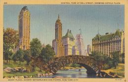 CPA NEW YORK CITY- CENTRAL PARK, HOTELS PLAZA, BRIDGE - Central Park