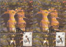 BIRDS, HOOPOE, CM, MAXICARD, CARTES MAXIMUM, 2X, 1993, ROMANIA - Pics & Grimpeurs