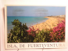 Fuerteventura - Playa De Costa Calma - Fuerteventura