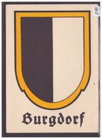 GRÖSSE 10x15cm - BURGDORF - BERTHOUD - WAPPEN - ARMOIRIE - TB - Berthoud