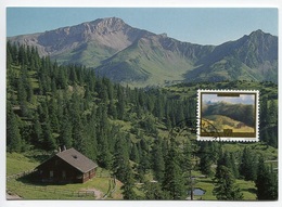 RC 7458 LIECHTENSTEIN 1993 TABLEAU CABANE DE CHASSE CARTE MAXIMUM TB - Maximumkarten (MC)