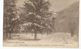 74 Chamonix Le Bois Du Bouchet En Hiver Et L'aiguille A Bochard - Chamonix-Mont-Blanc