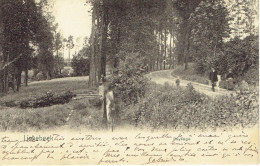 Linkebeek Paysage Animée 1906 Nels - Linkebeek