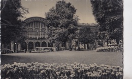 TORINO - GIARDINI IN FIORE DI PIAZZA CARLO FELICE   VG  AUTENTICA 100% - Parks & Gärten