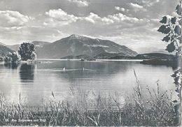 Am Zugersee Mit Rigi               Ca. 1950 - Zoug