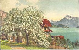 Buochs - Frühling Am Vierwaldstättersee           Ca. 1910 - Buochs