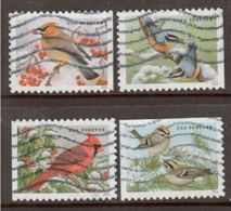 VERINIGTE STAATEN ETATS UNIS USA 2016 SONGBIRDS IN SNOW SET 4V USED SC 5126-29 MI 5320-23 YT 4943A-D - Usados