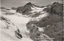 AK Sulztal Ferner Wilde Leck Amberger Hütte Ambergerhütte Stempel Gletscher Gries Tirol Österreich Austria Autriche - Längenfeld