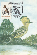 BIRDS, HOOPOE, CM, MAXICARD, CARTES MAXIMUM, 1993, ROMANIA - Pics & Grimpeurs