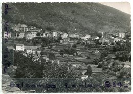 2337 - VENACO - Haute Corse, édition A. TOMASI, Ajaccio;  Grand Format, écrite, 1952, BE, Scans. - Sonstige & Ohne Zuordnung