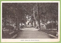 Alijó - Jardim Dr. Matos Cordeiro. Vila Real. (postal Danificado) - Vila Real